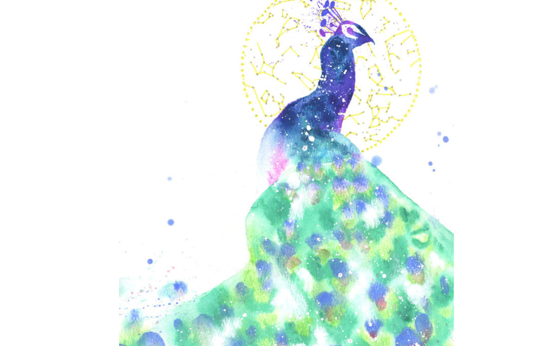 Peacock