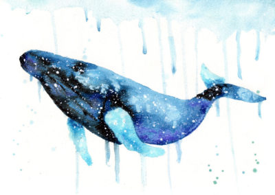 Whale