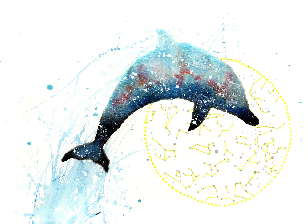 Dolphin Spirit animal : Symbolism and meaning