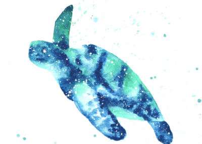 Sea Turtle