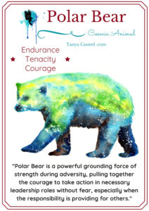 Polar Bear Spirit Animal – Meaning and Interpretations - Spirit Animals
