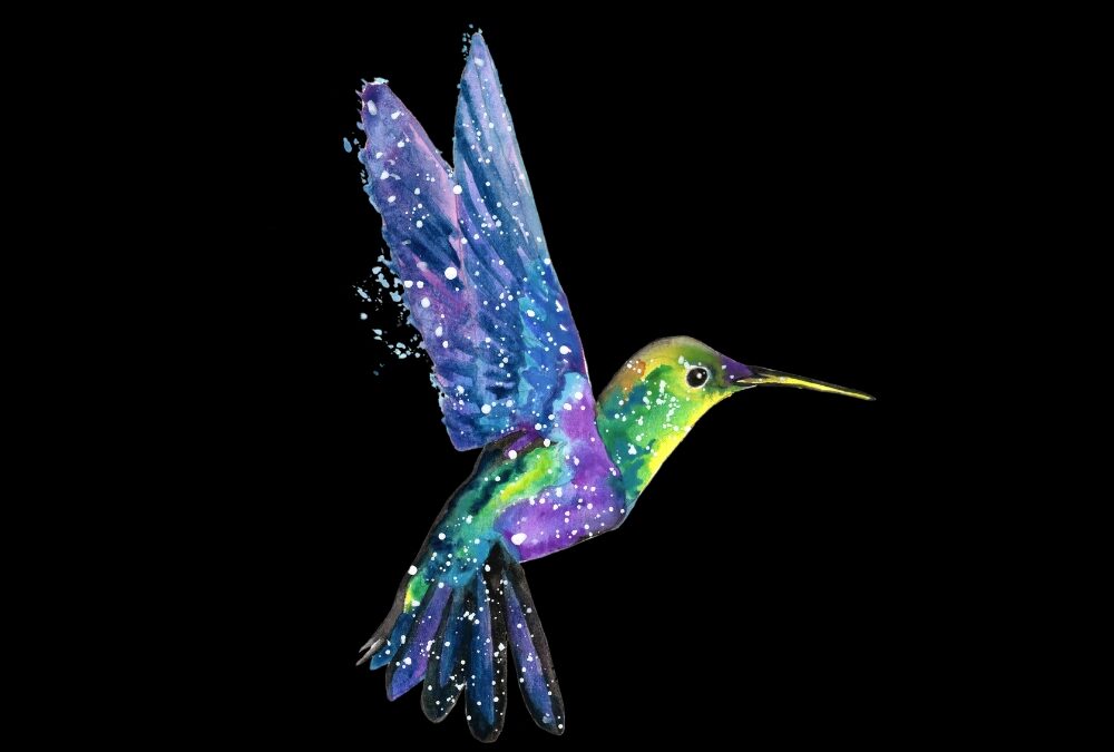 Hummingbird