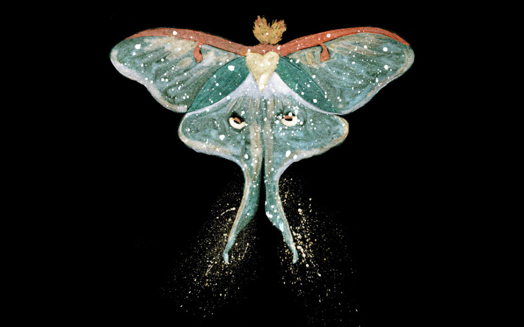 Luna Moth