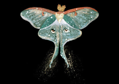 Luna Moth