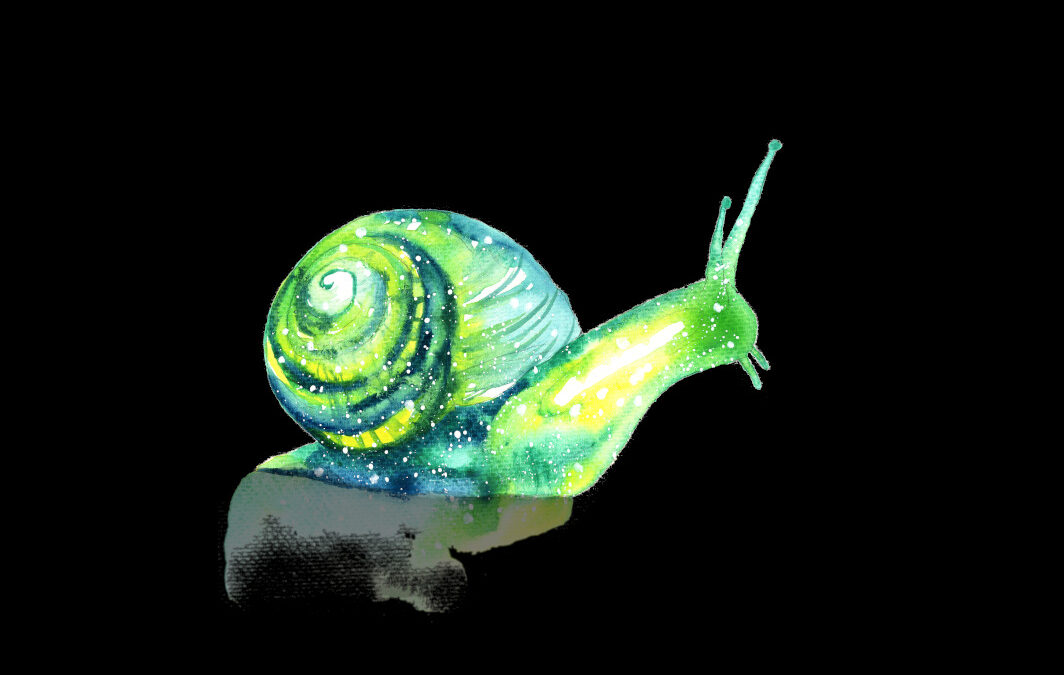 Snail