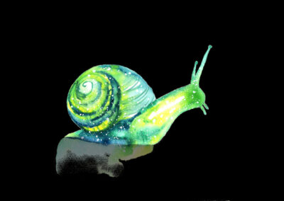 Snail