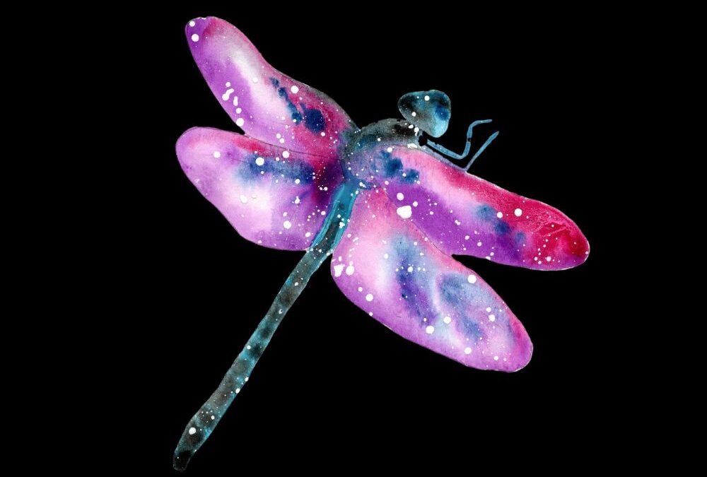 Dragonfly