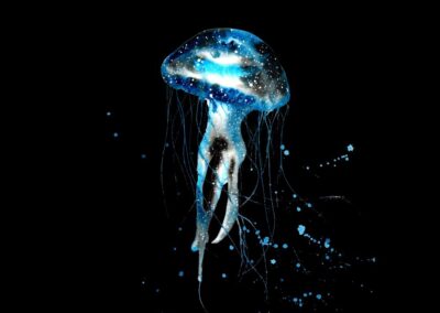 Jellyfish