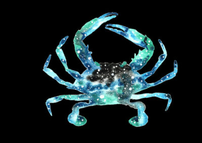 Blue Crab