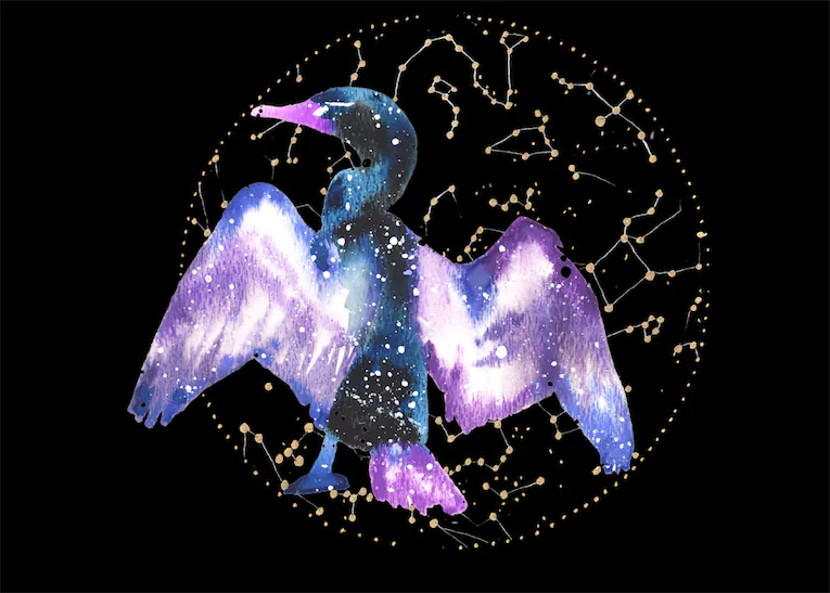 cormorant spiritual meaning symbolism