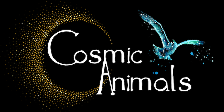 Cosmic spirit animal oracle card deck symbolism & meaning