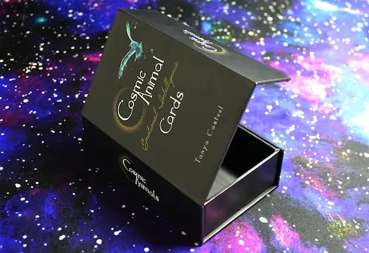 cosmic animal card deck box