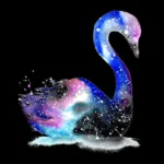 Black Swan spiritual meaning symbolism dream