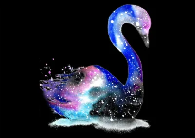 Swan, Black | Surprised