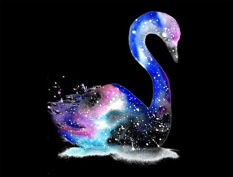 Black Swan spiritual meaning symbolism dream