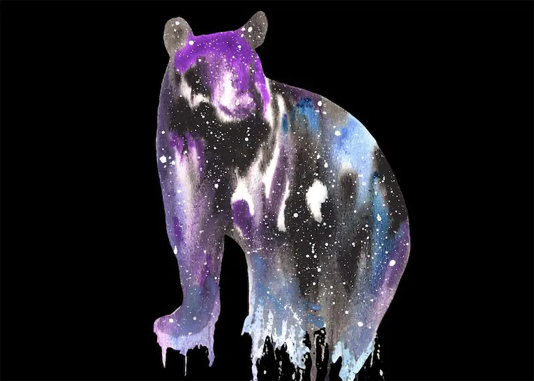 Black Bear spiritual meaning symbolism dream