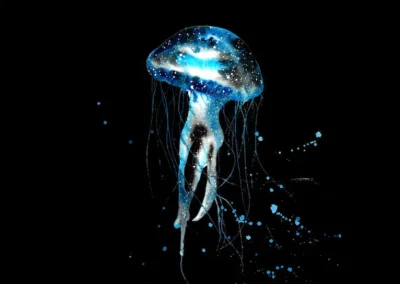 Jellyfish | Interconnectedness