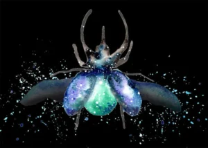 scarab beetle spiritual meaning dream