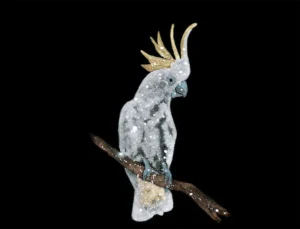 Cockatoo spiritual meaning symbolism dream