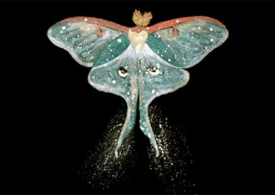 Luna Moth | Order