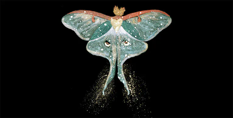 Luna Moth spiritual meaning symbolism dream