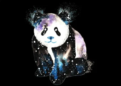 Panda | Appreciation