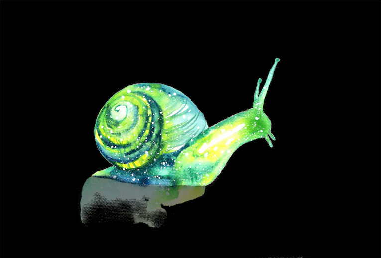 Snail spiritual meaning symbolism dream