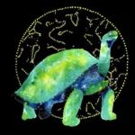 Tortoise spiritual meaning symbolism dream