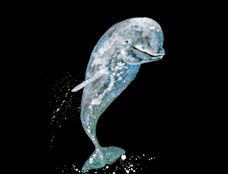 beluga whale spiritual meaning symbolism dream