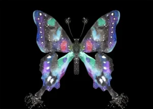 butterfly spiritual meaning symbolism dream