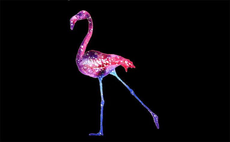 flamingo spiritual meaning symbolism dream