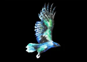 hawk spiritual meaning symbolism dream