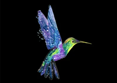 Hummingbird | Excited