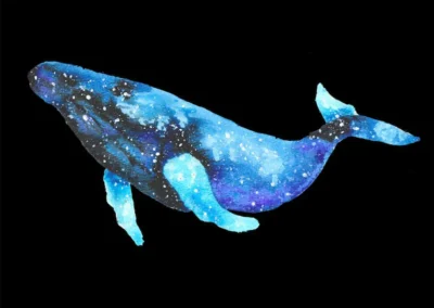 Whale, Humpback | Healing