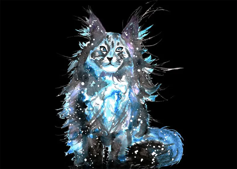 maine coon cat spiritual meaning symbolism dream