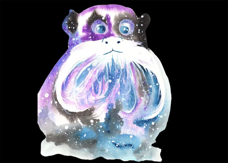 tamarin spiritual meaning symbolism dream