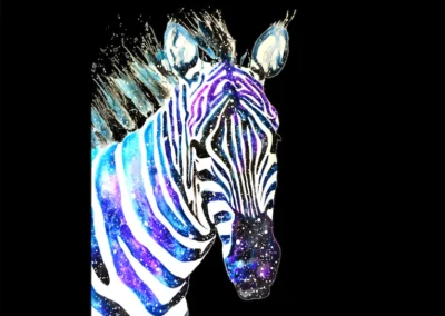 Zebra | Brave