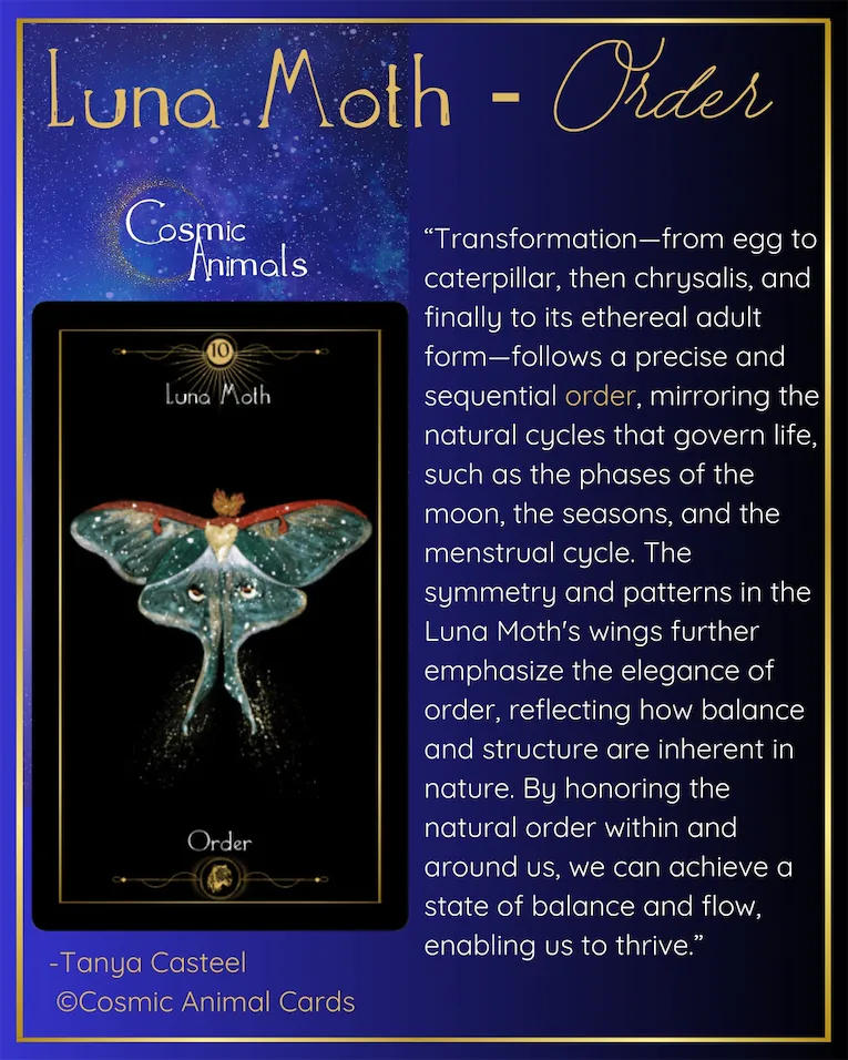 luna moth meaning oracle tarot card