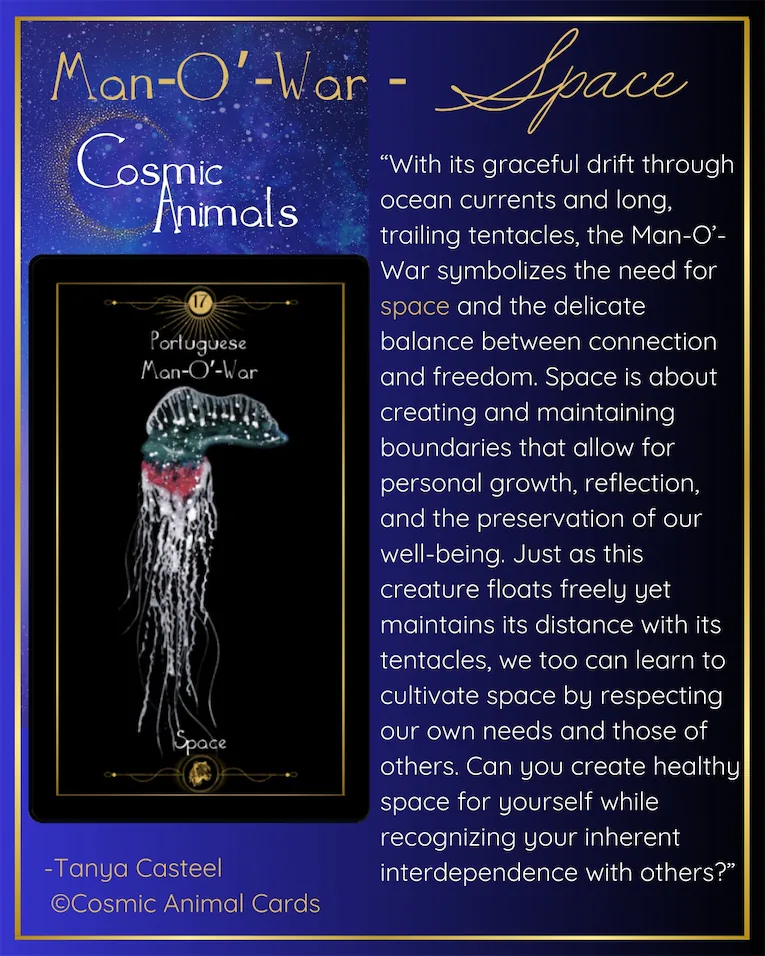 man o war meaning oracle tarot card